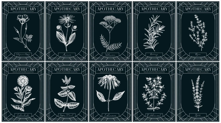 Apothecary labels set. Healing plants and medicinal herbs sketches on chalkboard. Art nouveua, adt deco, retro style. Vintage frame design templates. NOT AI generated